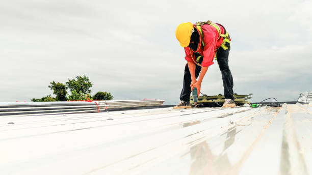 Best Roof Ventilation Installation  in Frazier Park, CA